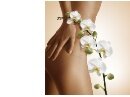 Wellness / SPA Wellness / SPA