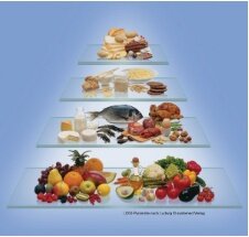 LOGIsch gesund geniesen, keine Diät sondern Lebenseinstellung LOGIsch gesund geniesen, keine Diät sondern Lebenseinstellung